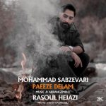 دانلود آهنگ محمد سبزواری پائیز دلم