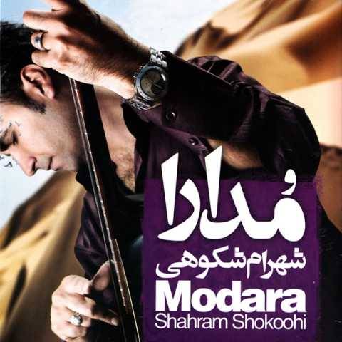 شهرام شکوهی لیلی