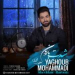 دانلود آهنگ یعقوب محمدی شدت بارون دانلود آهنگ یعقوب محمدی شدت بارون
