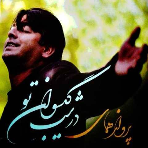 پرواز همای شبان آهسته میگریم