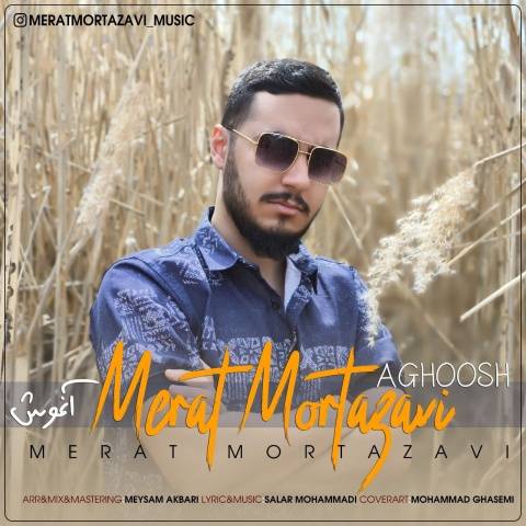 مرآت مرتضوی آغوش